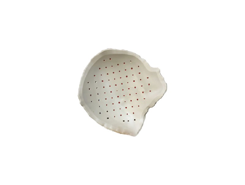 Placa de cranioplastia de PEEK